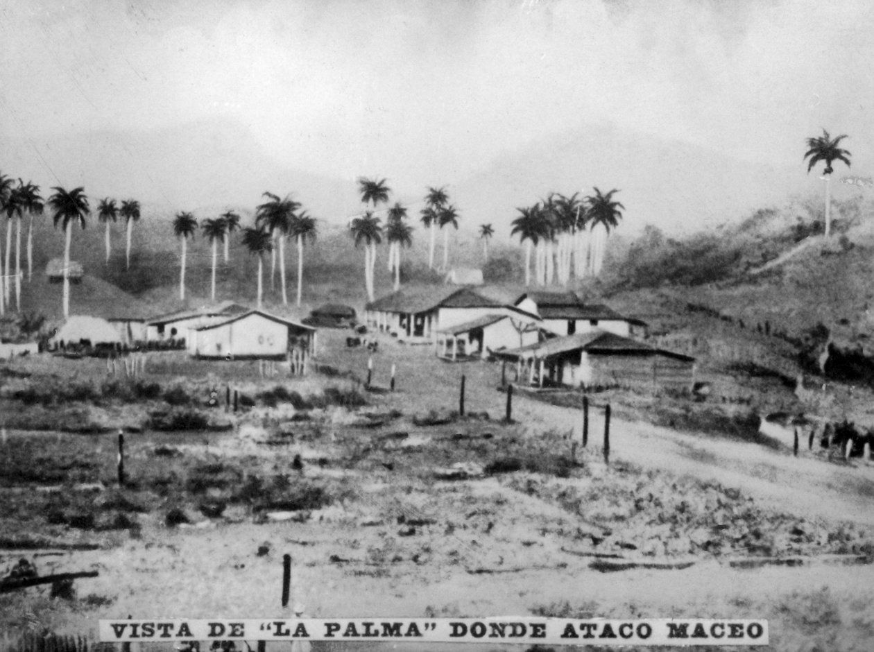 पाल्मा का दृश्य, 1896, 1920 द्वारा अज्ञात