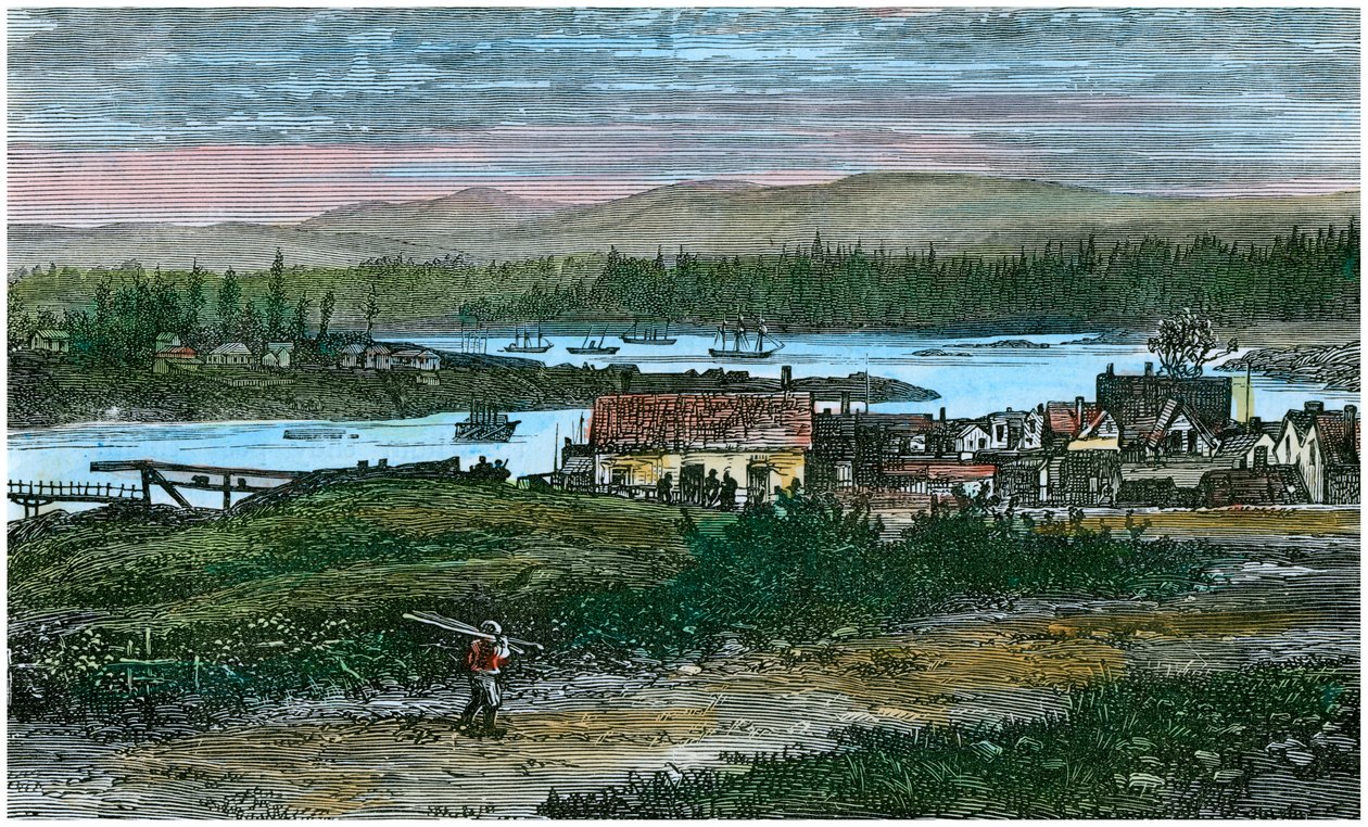 विक्टोरिया, वैंकूवर द्वीप, ब्रिटिश कोलंबिया, कनाडा, c1880 के पश्चिमी उपनगरों का दृश्य द्वारा अज्ञात