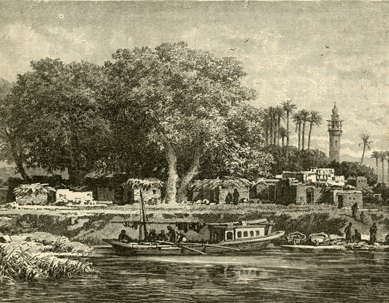 नील नदी के डेल्टा पर देखें, 1890। द्वारा अज्ञात