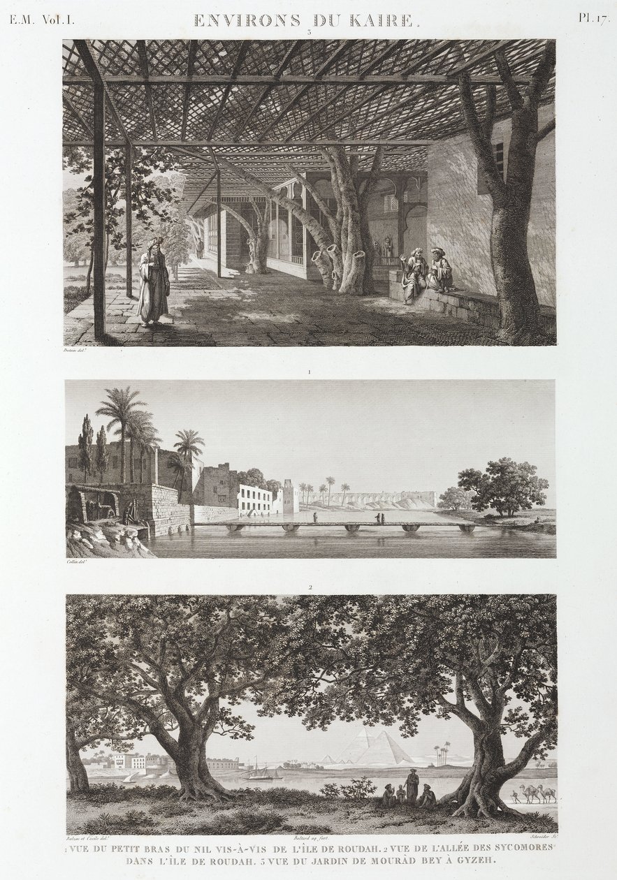 काहिरा, मिस्र के आसपास के दृश्य, c 1798 द्वारा अज्ञात