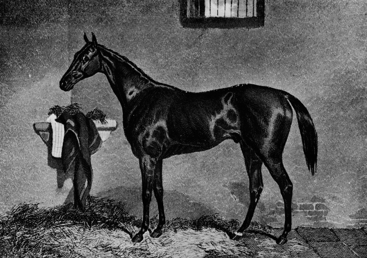 वोल्तेगुर, 1847-1874, 1911 द्वारा अज्ञात