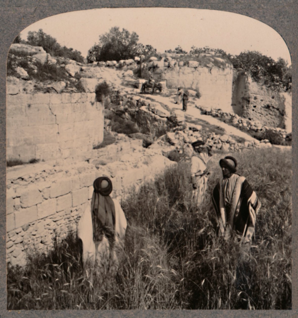 ऑगस्टस, सामरिया, c1900 की दीवारें द्वारा अज्ञात