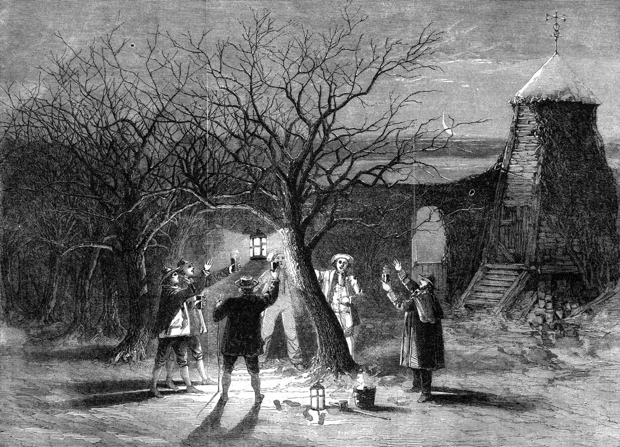 बारहवीं पूर्व संध्या, 1861 को डेवोनशायर में गर्म साइडर के साथ सेब के पेड़ों को नष्ट करना द्वारा अज्ञात
