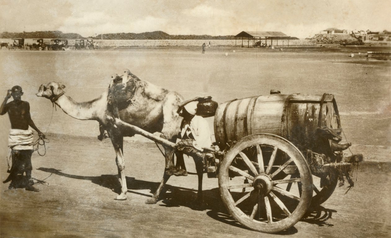 वाटर कार्ट, अदन, c1918-c1939। द्वारा अज्ञात