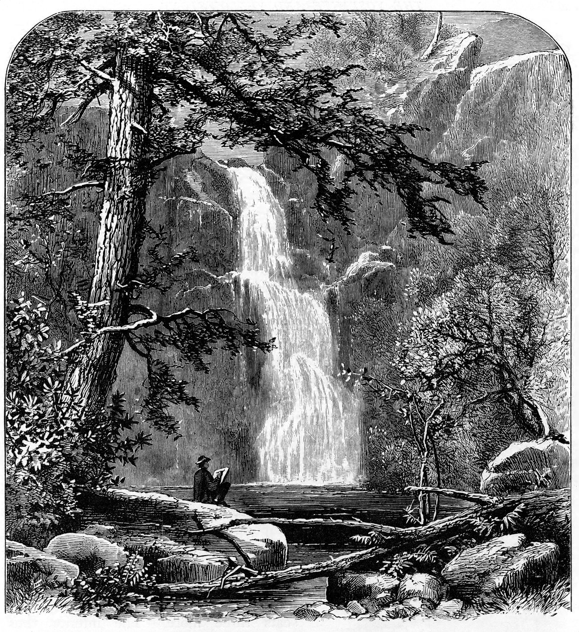 Yosemite Valley, California, USA में जलप्रपात, c1875 द्वारा अज्ञात