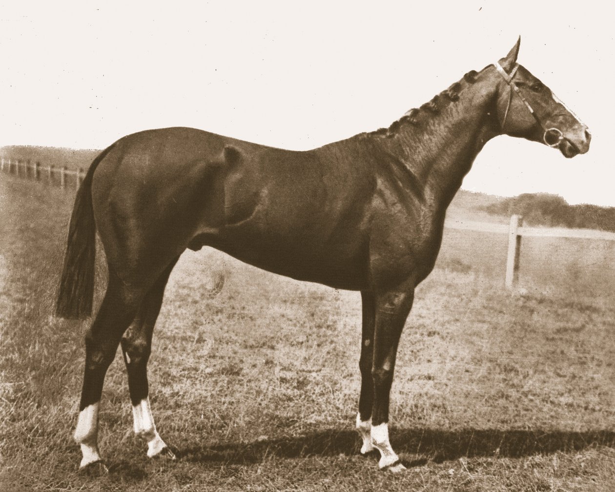 वेदरकॉक, 1911। द्वारा अज्ञात