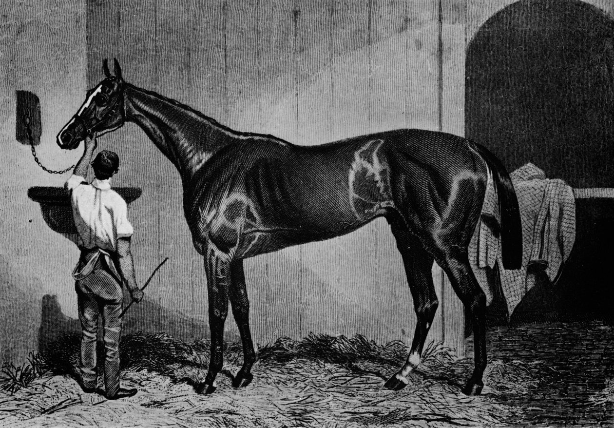 वेस्ट ऑस्ट्रेलियन, 1850-1870, 1911 द्वारा अज्ञात