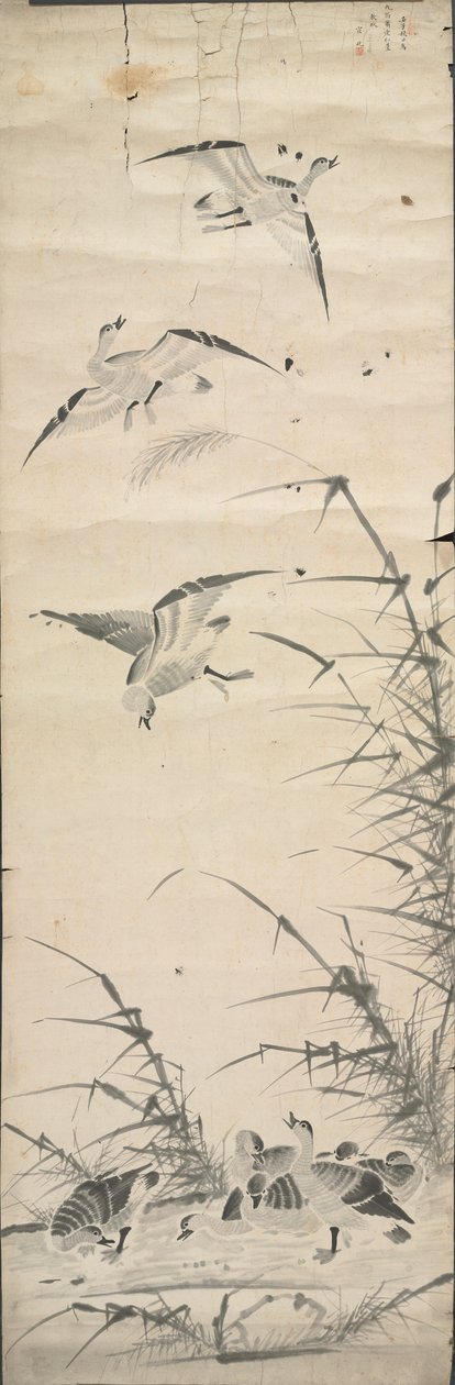 वाइल्ड गीज़ एंड रीड्स, 1392-1910। द्वारा अज्ञात