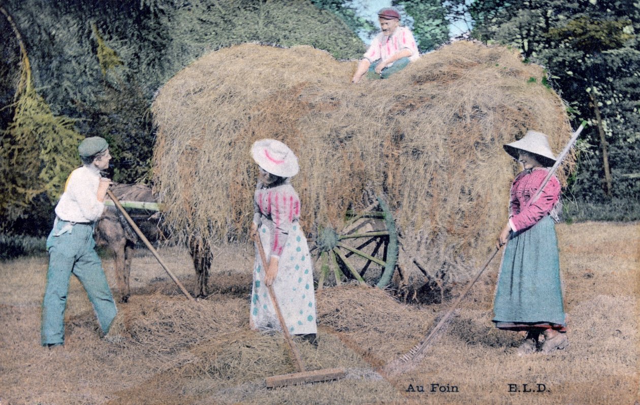 हेय के साथ, c1900 द्वारा अज्ञात