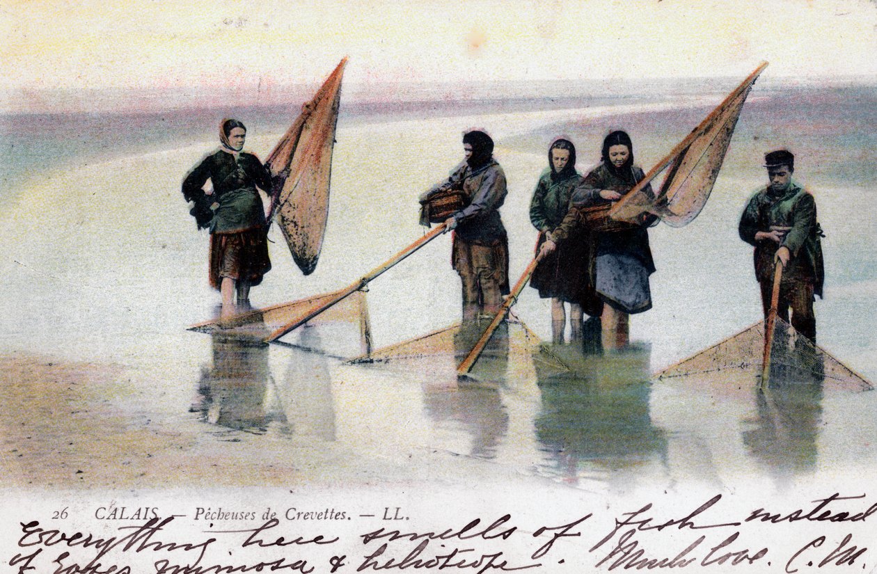 महिला झींगा फिशर्स, कैलाइस, 1905 द्वारा अज्ञात