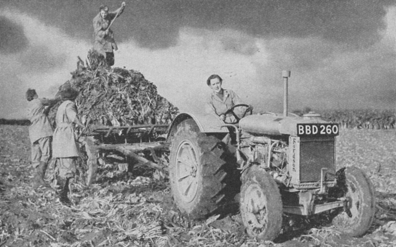 द्वितीय विश्व युद्ध, 1940, एक भूमि उठाने वाली महिला सेना द्वारा अज्ञात