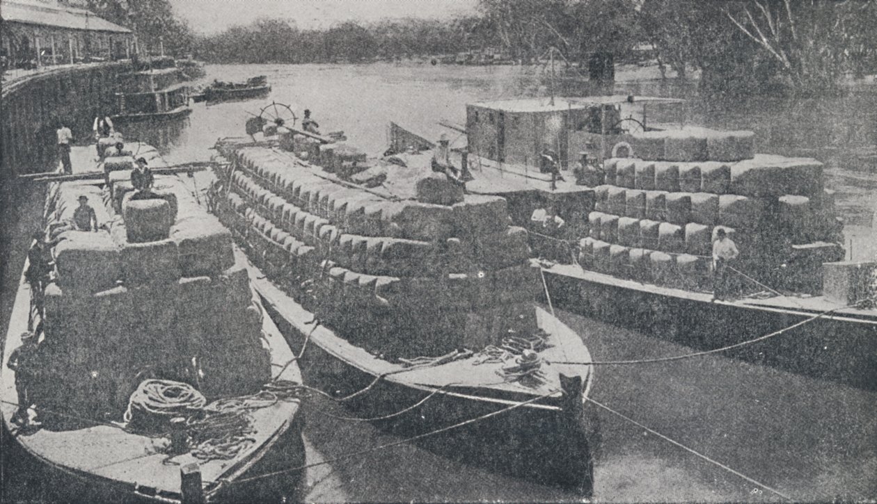 मुर्रे नदी, 1923 में वूल बार्ज। द्वारा अज्ञात