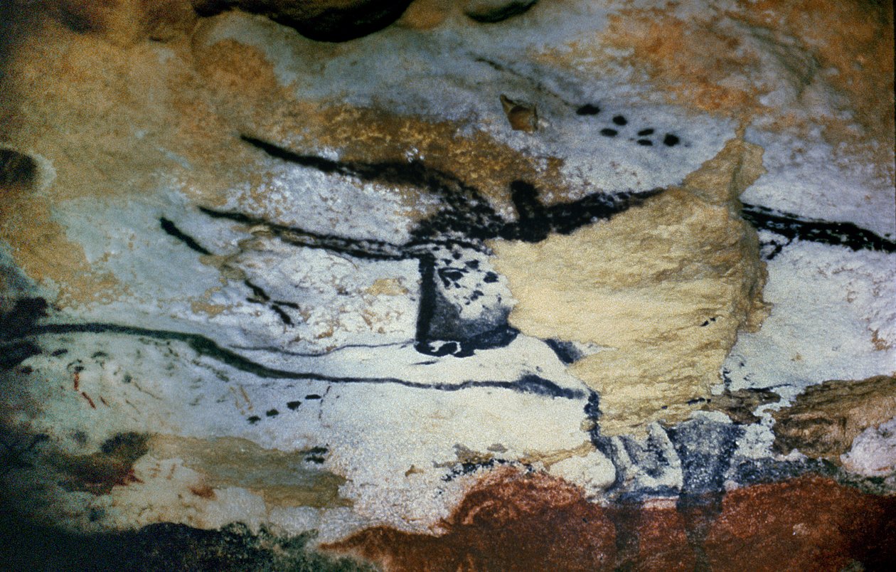 लंबी सींग, बैल के हॉल के साथ एक बैल की रॉक पेंटिंग, c.17000 ईसा पूर्व द्वारा अज्ञात अज्ञात