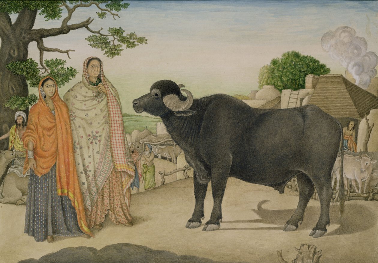 रानिया गाँव में दो गाँव की महिलाएँ और एक भैंस, c.1816, भारतीय द्वारा अज्ञात अज्ञात