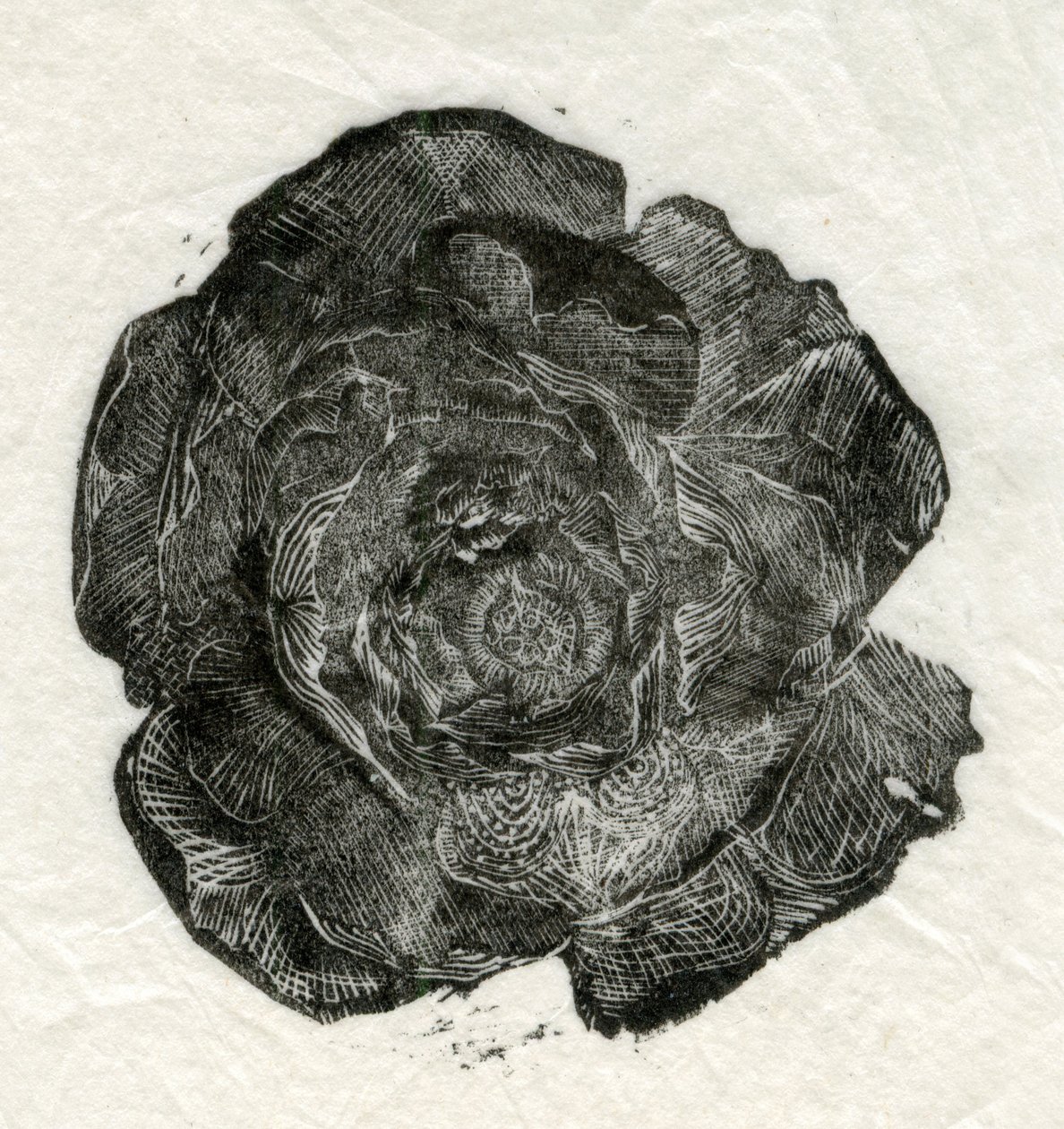 पाइन रोज, 2014, द्वारा अज्ञात अज्ञात
