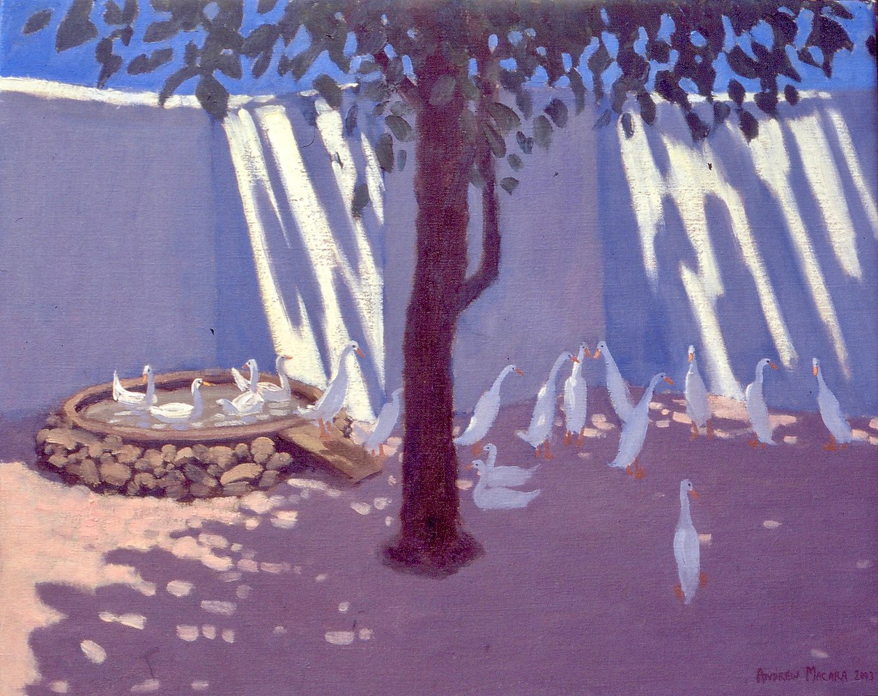 रनर डक, दक्षिण अफ्रीका, 2011 द्वारा अज्ञात अज्ञात