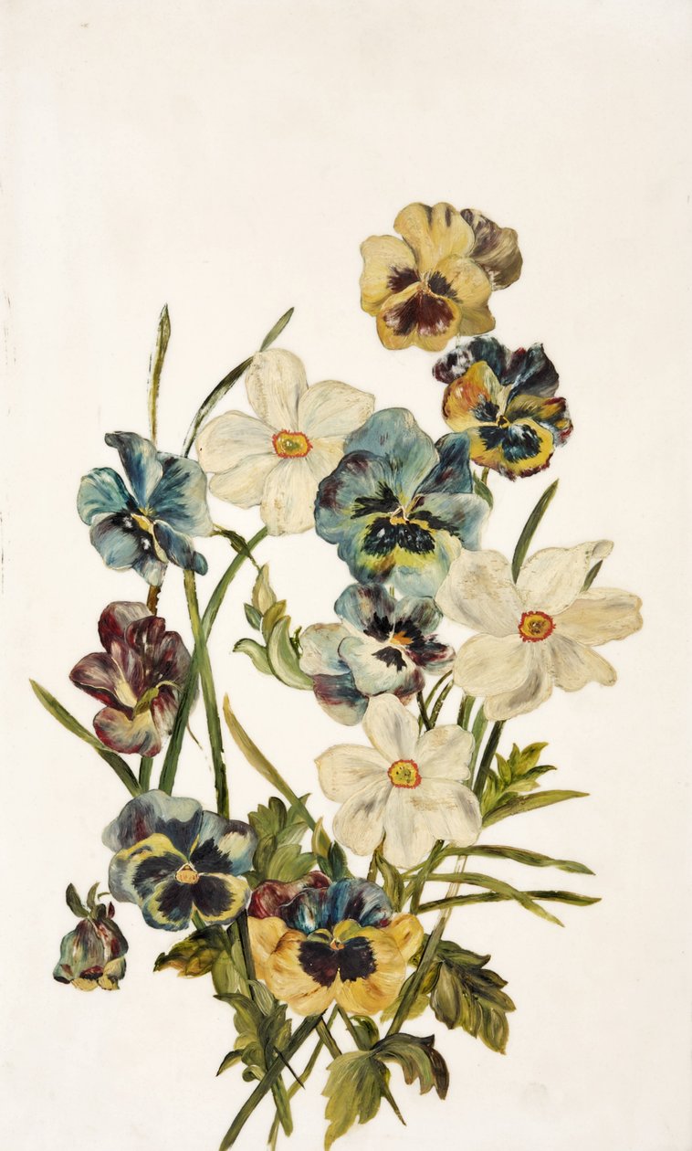 फिर भी जीवन, Pansies और Narcissi द्वारा अज्ञात अज्ञात