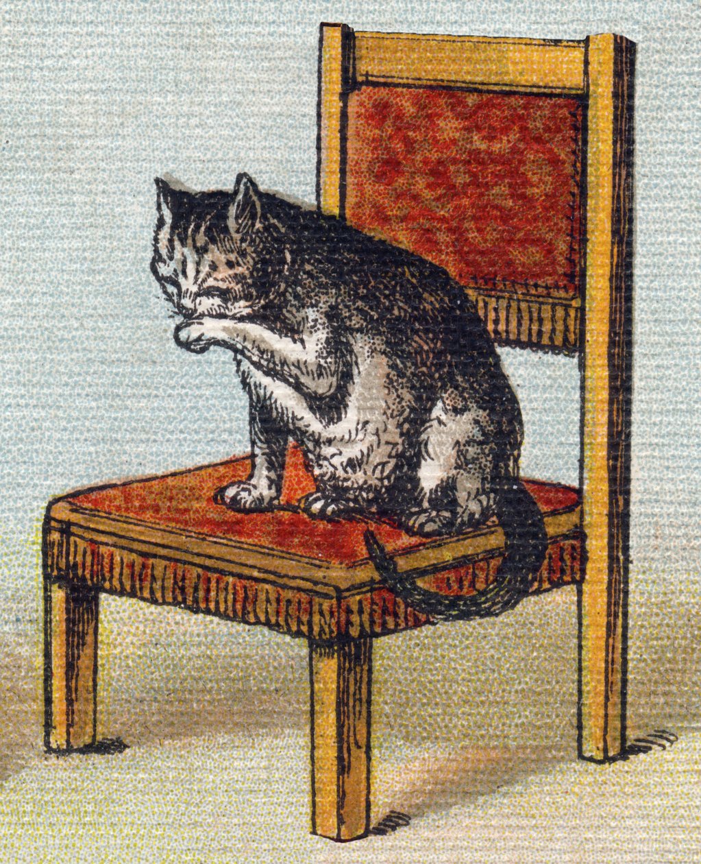 एक कुर्सी पर एक बिल्ली। "Alphabet de ma petite fille" में उत्कीर्णन। बर्नार्डिन-बेचेट एंड फिल्स, बुकसेलर-प्रकाशक, पेरिस, 1895 के आसपास। कैनवास पर अटूट एल्बम। बिब्लियोथेक डेस बेब्स। 12 पृष्ठ। एक पठन विधि और एक उदाहरण अबेडा युक्त एल्बम द्वारा अज्ञात