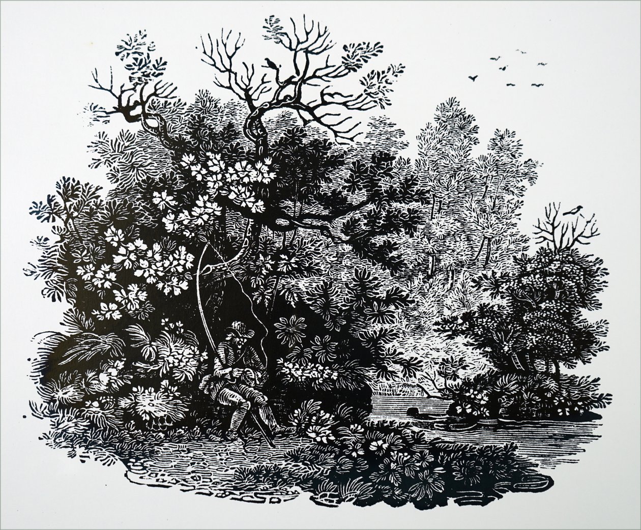 एक मछुआरा द्वारा अज्ञात