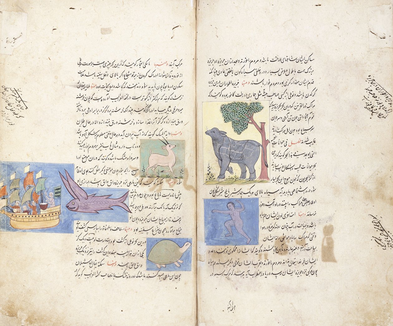 A page from the Persian manuscript Ajaib al-Makhluqat wa Gharaib al-Maujudat द्वारा अज्ञात