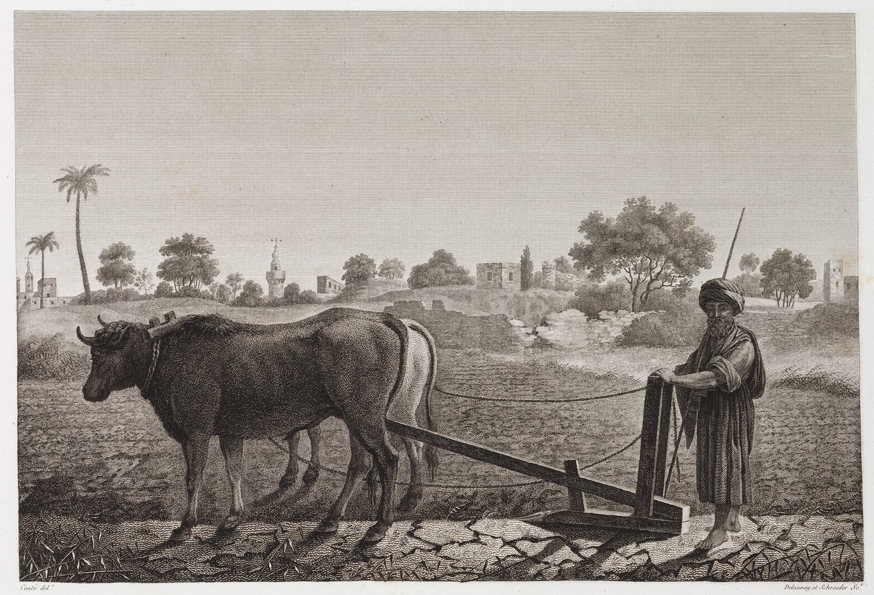कृषि योग्य खेती, बैलों के साथ जुताई जुताई, मिस्र, c 1798 द्वारा अज्ञात