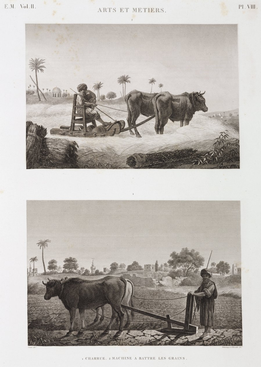 कृषि योग्य खेती, जुताई थ्रेसिंग मशीन और हल, मिस्र, c 1798 द्वारा अज्ञात