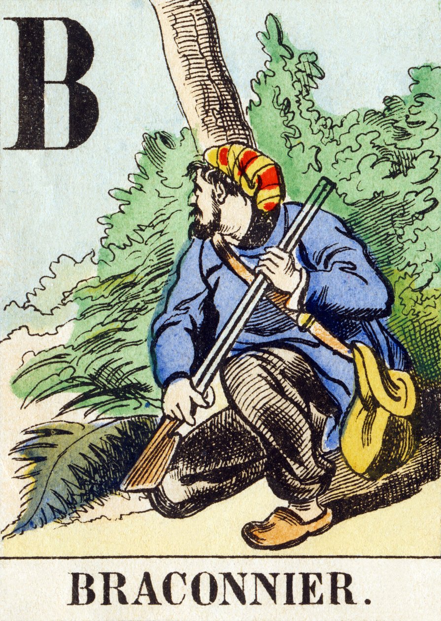 बी: ब्रैकॉनियर - द हंटिंग अल्फाबेट, c.1890 (उत्कीर्णन) द्वारा अज्ञात