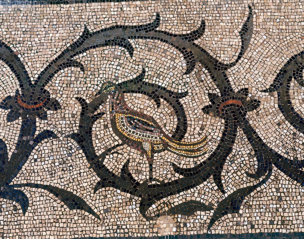 Aquileia, Udine . के प्रारंभिक ईसाई बेसिलिका के फर्श का विवरण द्वारा अज्ञात