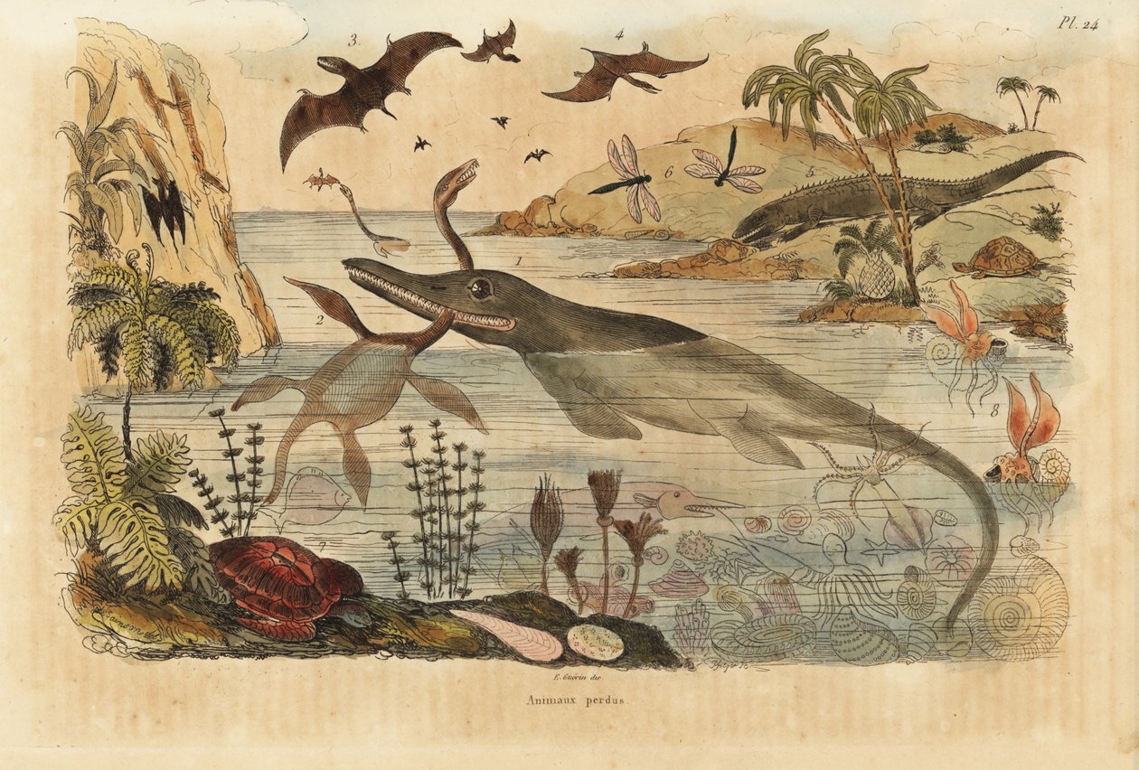 विलुप्त डायनासोर, ichthyosaur, plesiosaur, समुद्री जानवर, pterodactyls, छिपकली, कछुए, कीड़े, मछली, व्यंग्य, मोलस्क, आदि द्वारा अज्ञात