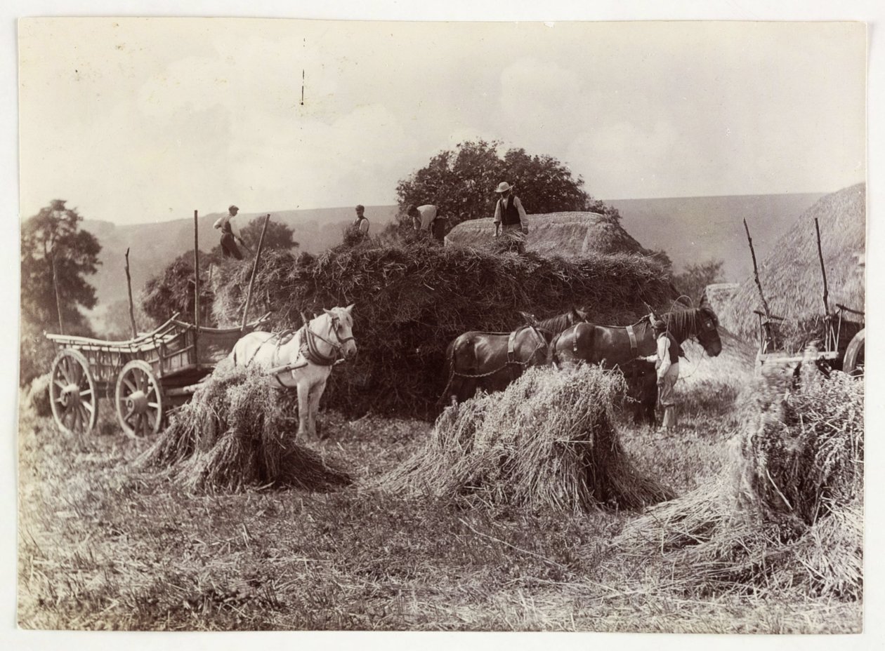 खेती के दृश्य, कटाई और भंडारण, पूर्व-1900 हार्वेस्ट, सी 1890 द्वारा अज्ञात