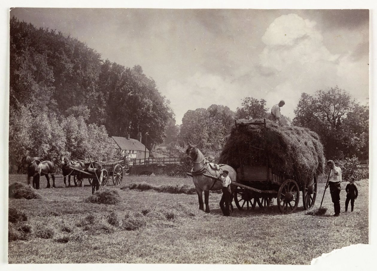 खेती के दृश्य, कटाई और भंडारण, 1900 से पूर्व घास काटना, सी 1890 द्वारा अज्ञात
