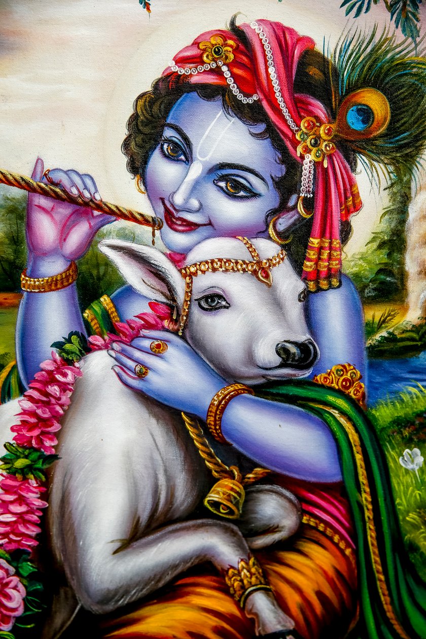 एक बछड़े के साथ हिंदू भगवान कृष्ण। वाटफोर्ड, यूके (फोटो) द्वारा अज्ञात