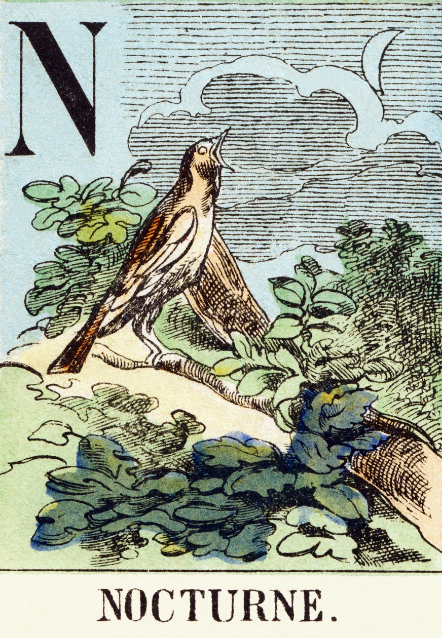 एन: निशाचर - द हंटिंग वर्णमाला, c.1890 (उत्कीर्णन) द्वारा अज्ञात