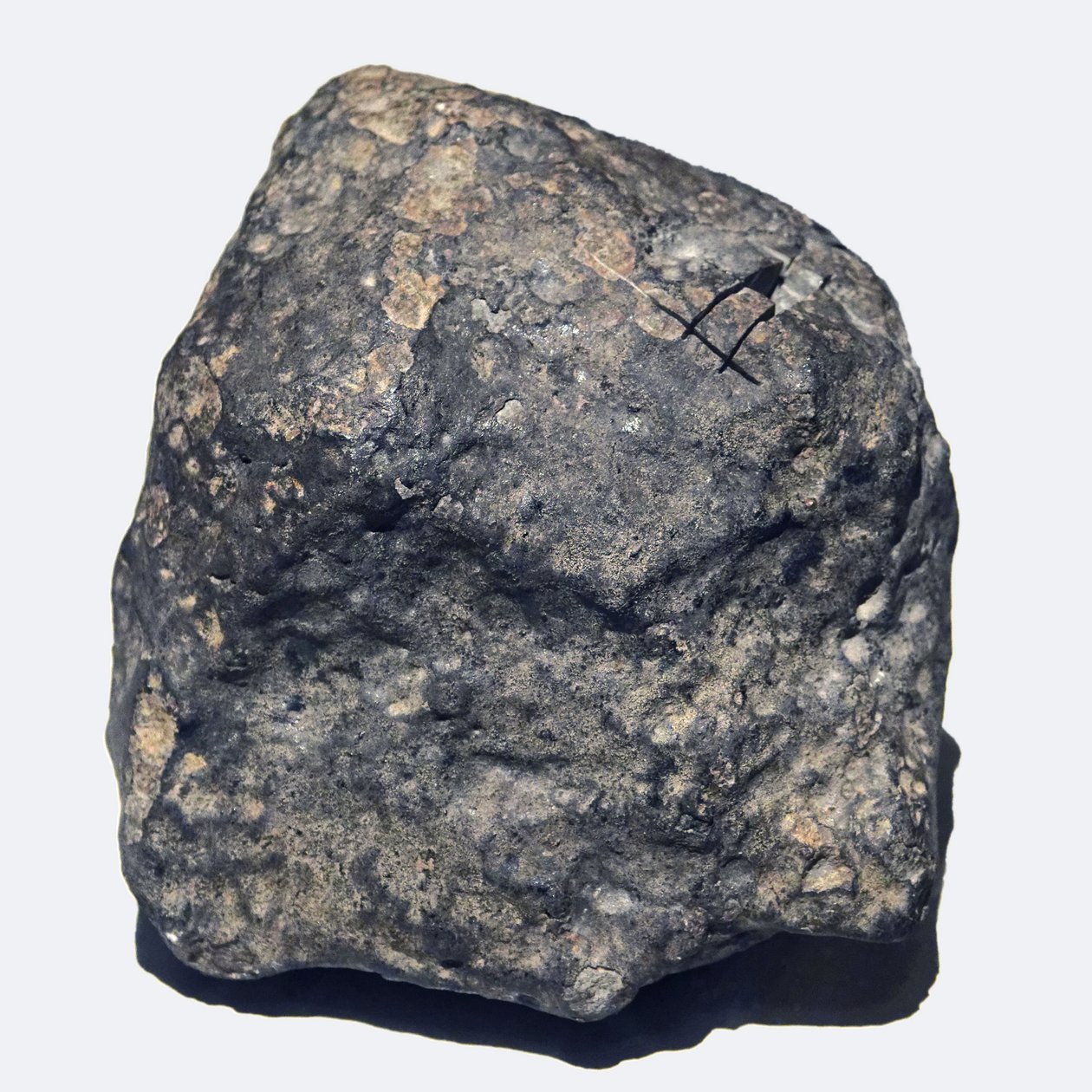साधारण चोंड्राइट (एल / एलएल 5)। 1866 में यूक्रेन में टोइम्बी। प्राकृतिक इतिहास का राष्ट्रीय संग्रहालय, पेरिस। द्वारा अज्ञात