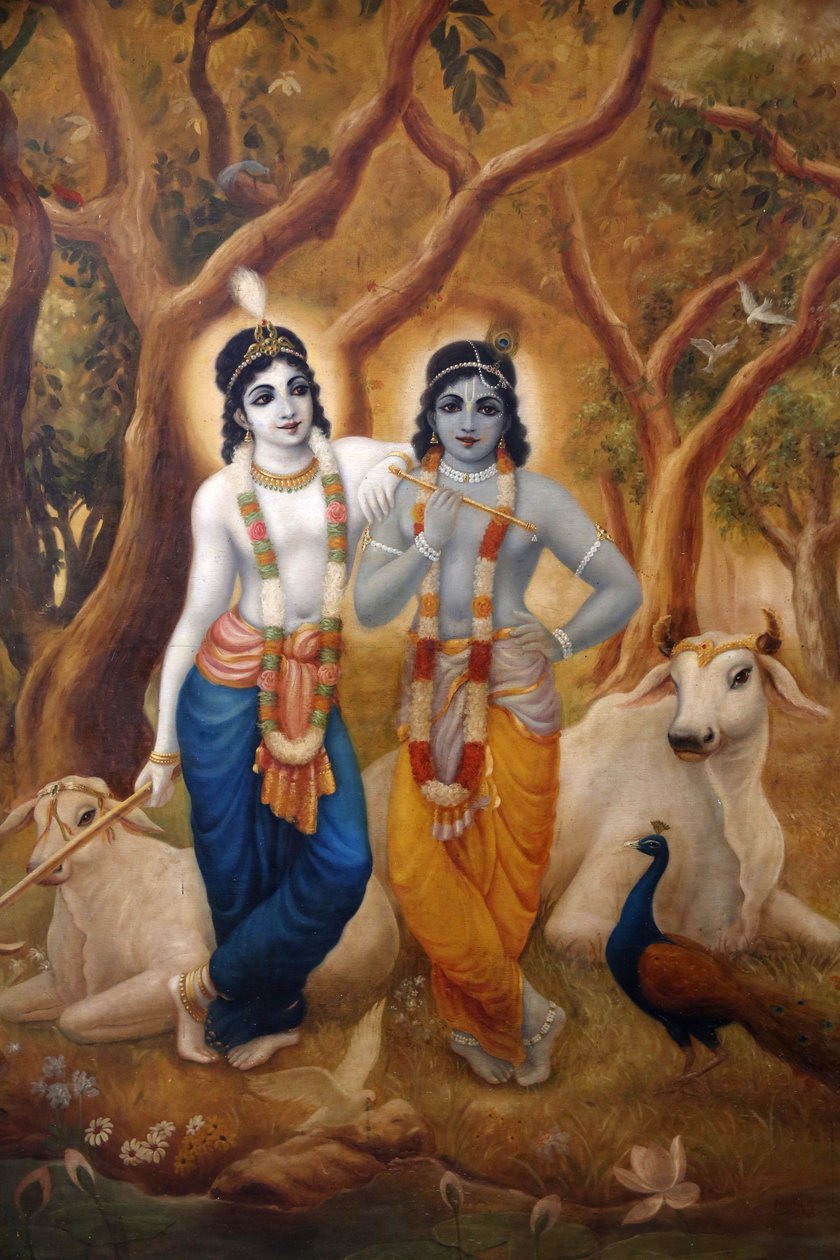 अपने भाई बलराम के बगल में खड़े हिंदू भगवान कृष्ण को चित्रित करने वाली पेंटिंग। भारत द्वारा अज्ञात
