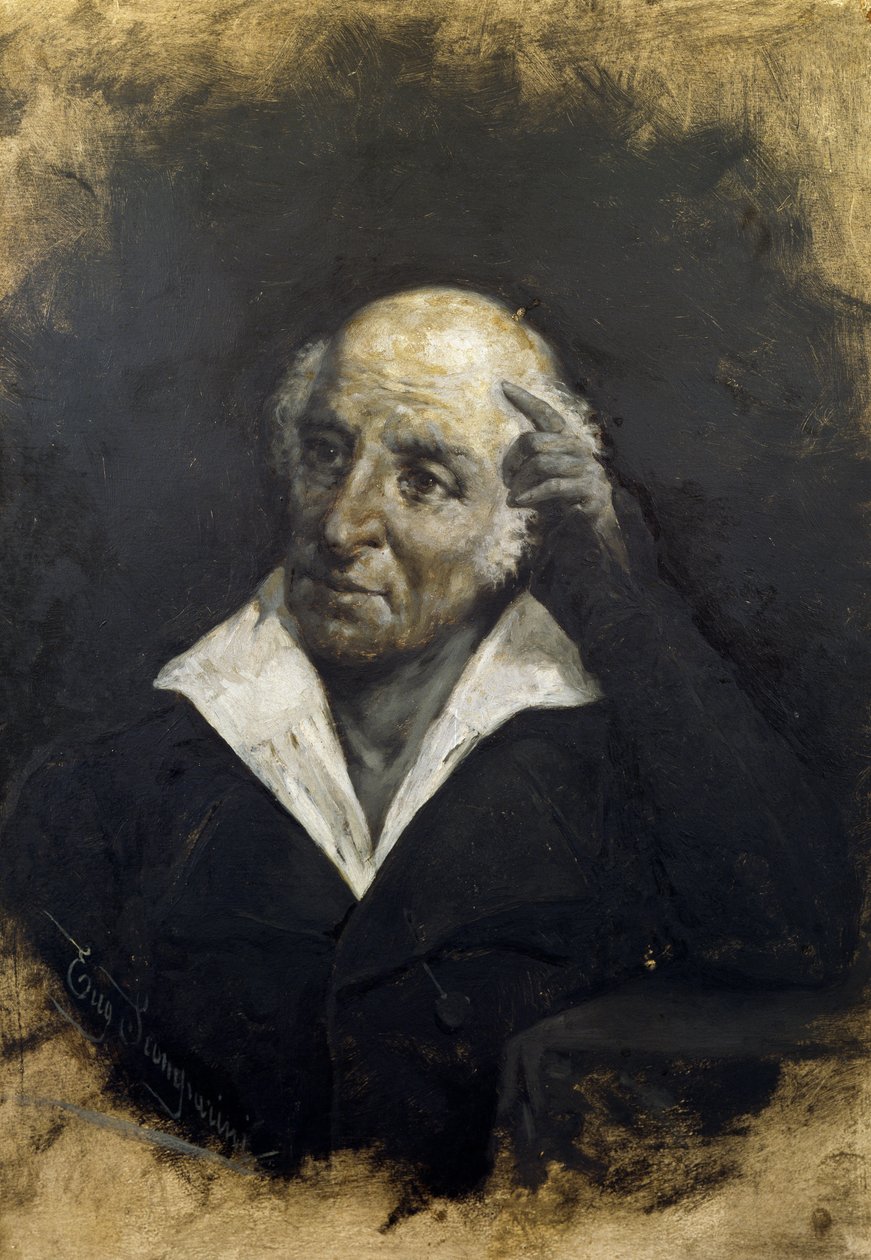 डोमिनिको रोसेटी (ट्राएस्टे 1774-1842) का पोर्ट्रेट, इतालवी राजनीतिज्ञ और न्यायविद द्वारा अज्ञात कलाकार