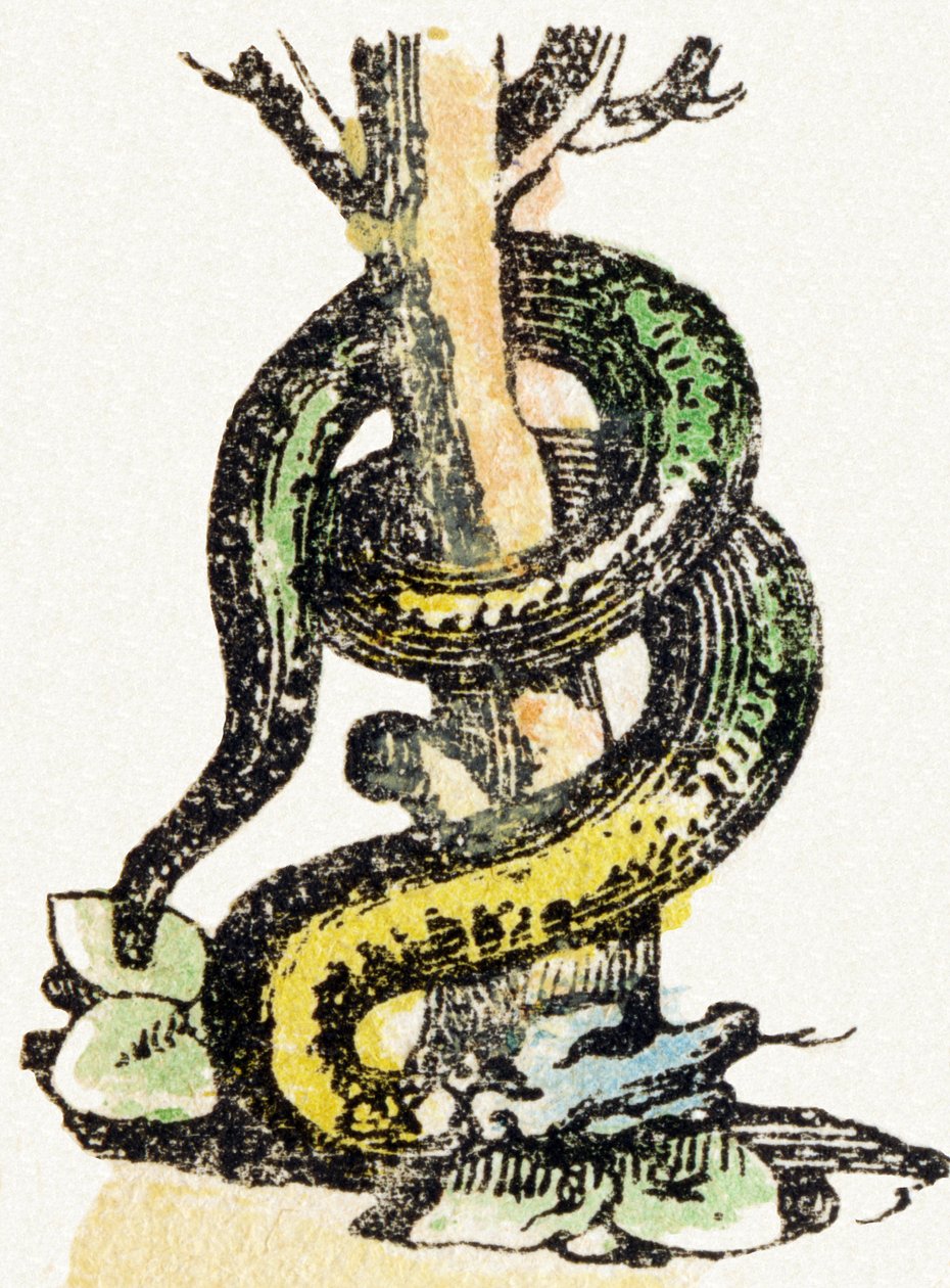 एस - सर्प - बाल मनोरंजन वर्णमाला c.1890 (लिथोग्राफ) द्वारा अज्ञात