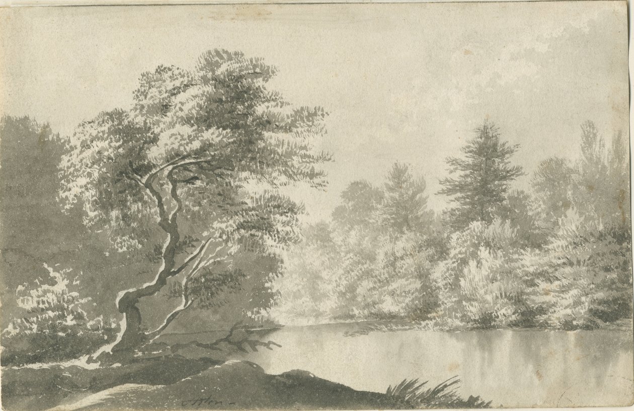 शेनस्टोन - लिटिल एस्टन के पास पूल: सीपिया वॉश ड्राइंग, एन डी [19 प्रतिशत] द्वारा अज्ञात