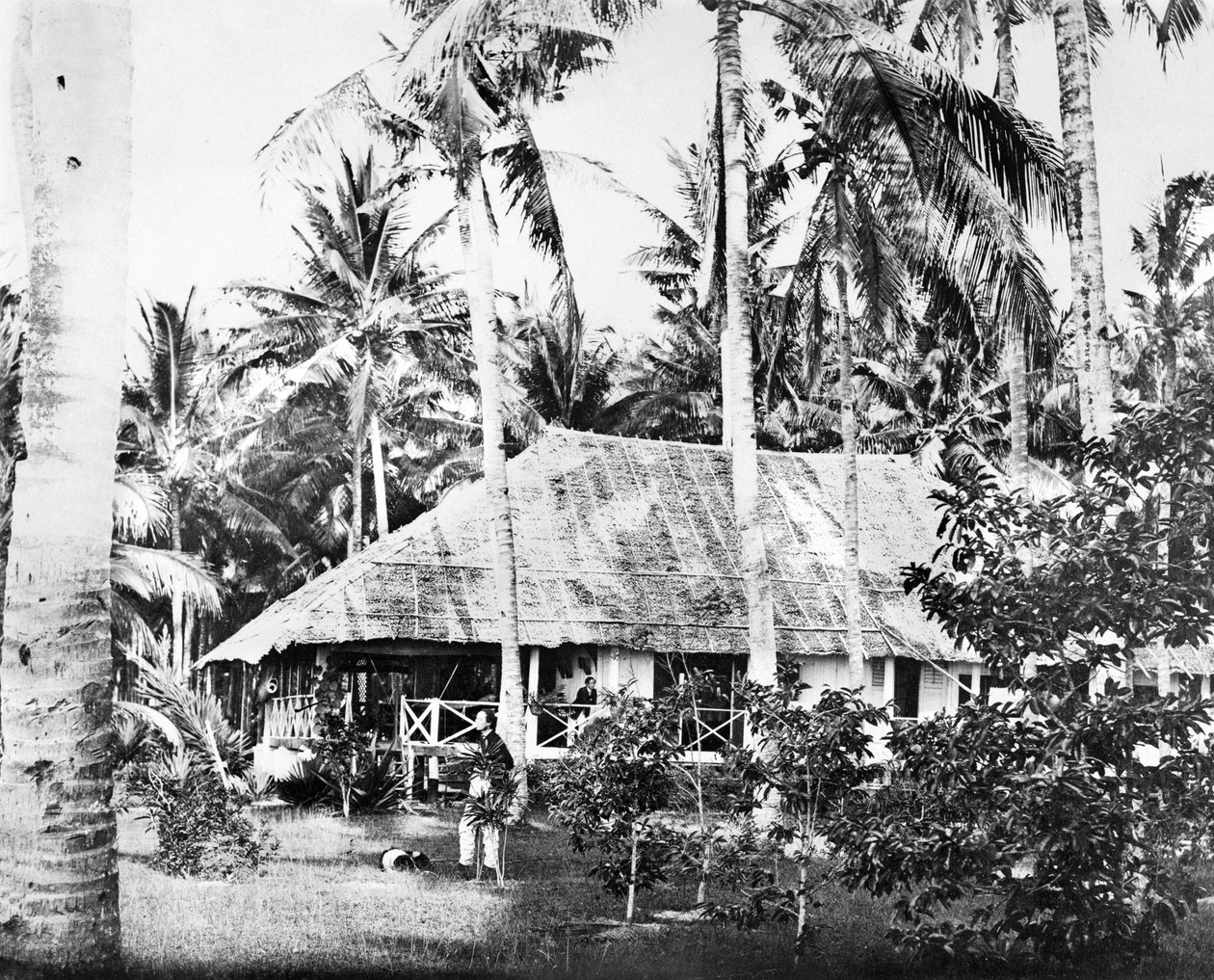 सिंगापुर: ताड़ के पेड़ों से घिरा एक निजी बंगला। सिंगापुर, c1875 द्वारा अज्ञात