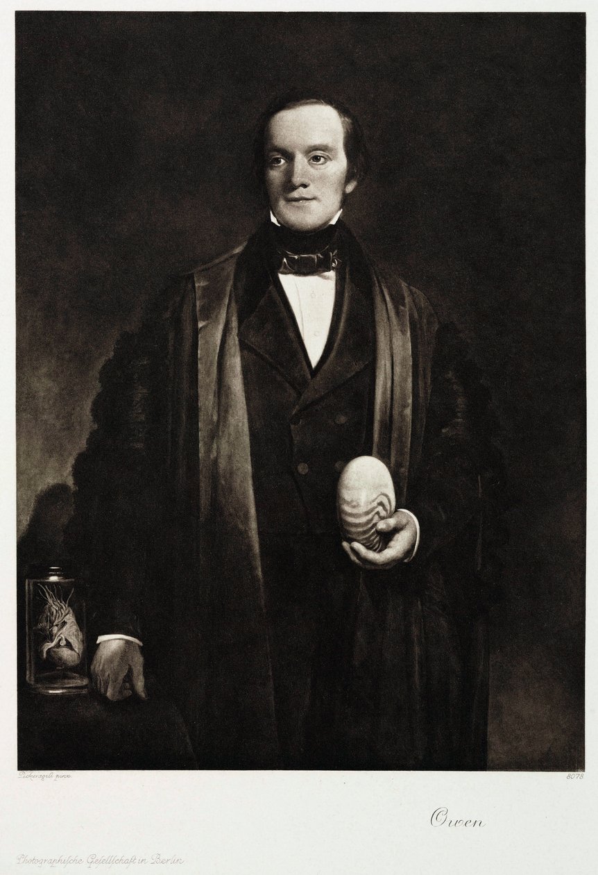 सर रिचर्ड ओवेन, अंग्रेजी प्रकृतिवादी और जीवाश्म विज्ञानी, सी 1845 द्वारा अज्ञात