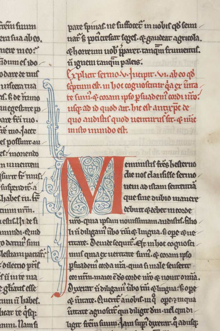 Hippo &39;Opera&39; की St Augustine, Fol 128 recto, detail, c.1200 (चर्मपत्र पर कलम और स्याही) द्वारा अज्ञात