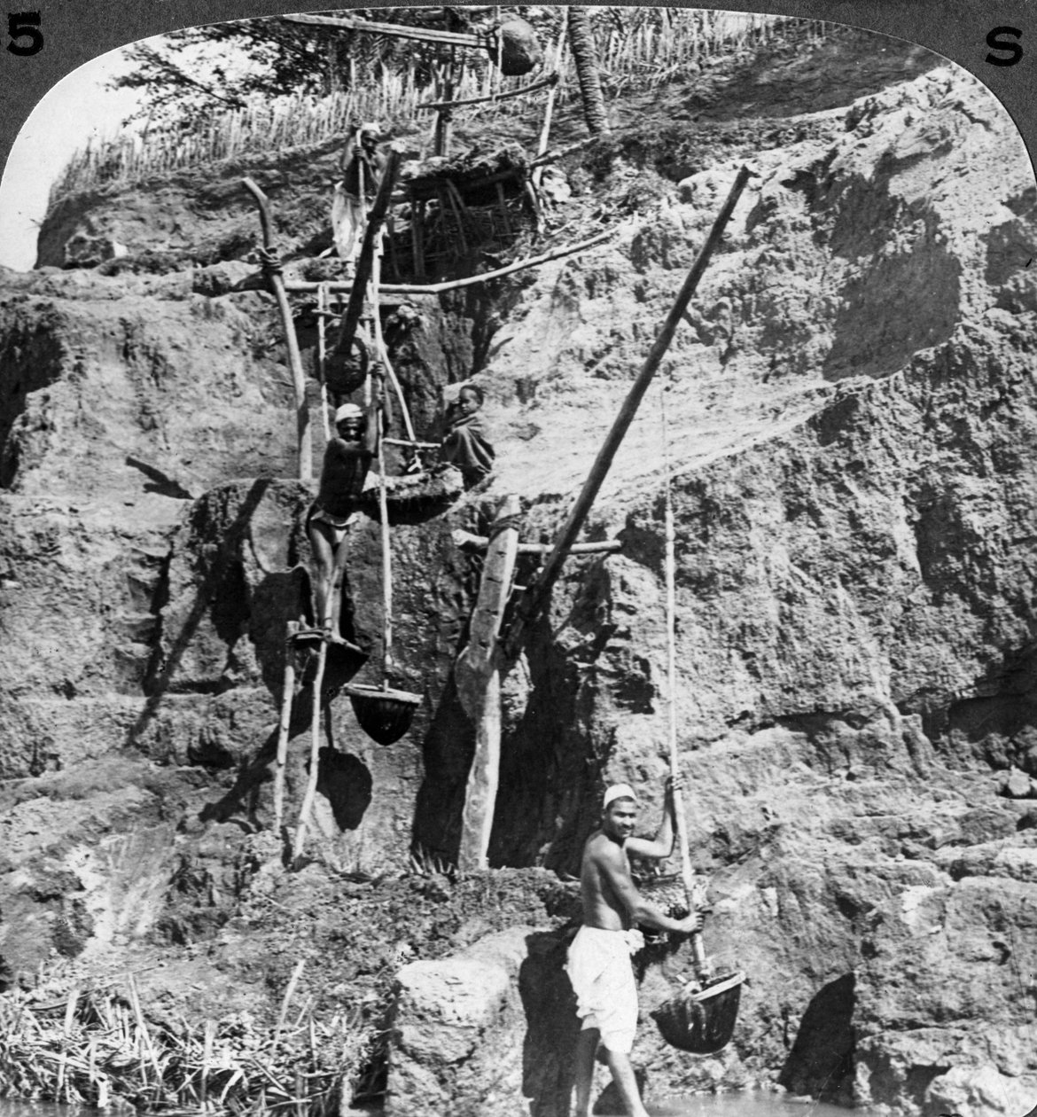 मिस्र का एक शादाब प्यासे खेतों में नील जल उठाता हुआ, मिस्र, 1905। द्वारा अंडरवुड और अंडरवुड