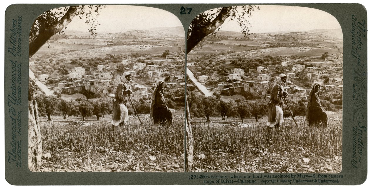 बेथनी, जैसा कि 1899 में फिलिस्तीन के पहाड़ के पूर्वी ढलान से देखा गया था। द्वारा अंडरवुड और अंडरवुड