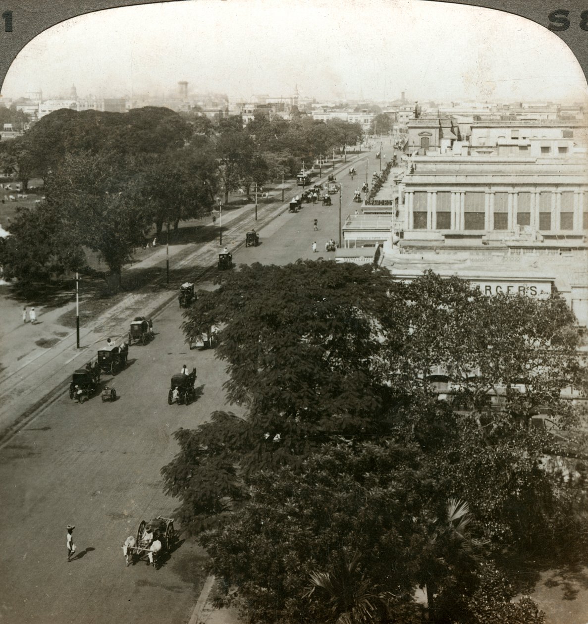 चौरंगी रोड, कलकत्ता, भारत, c1900s। द्वारा अंडरवुड और अंडरवुड