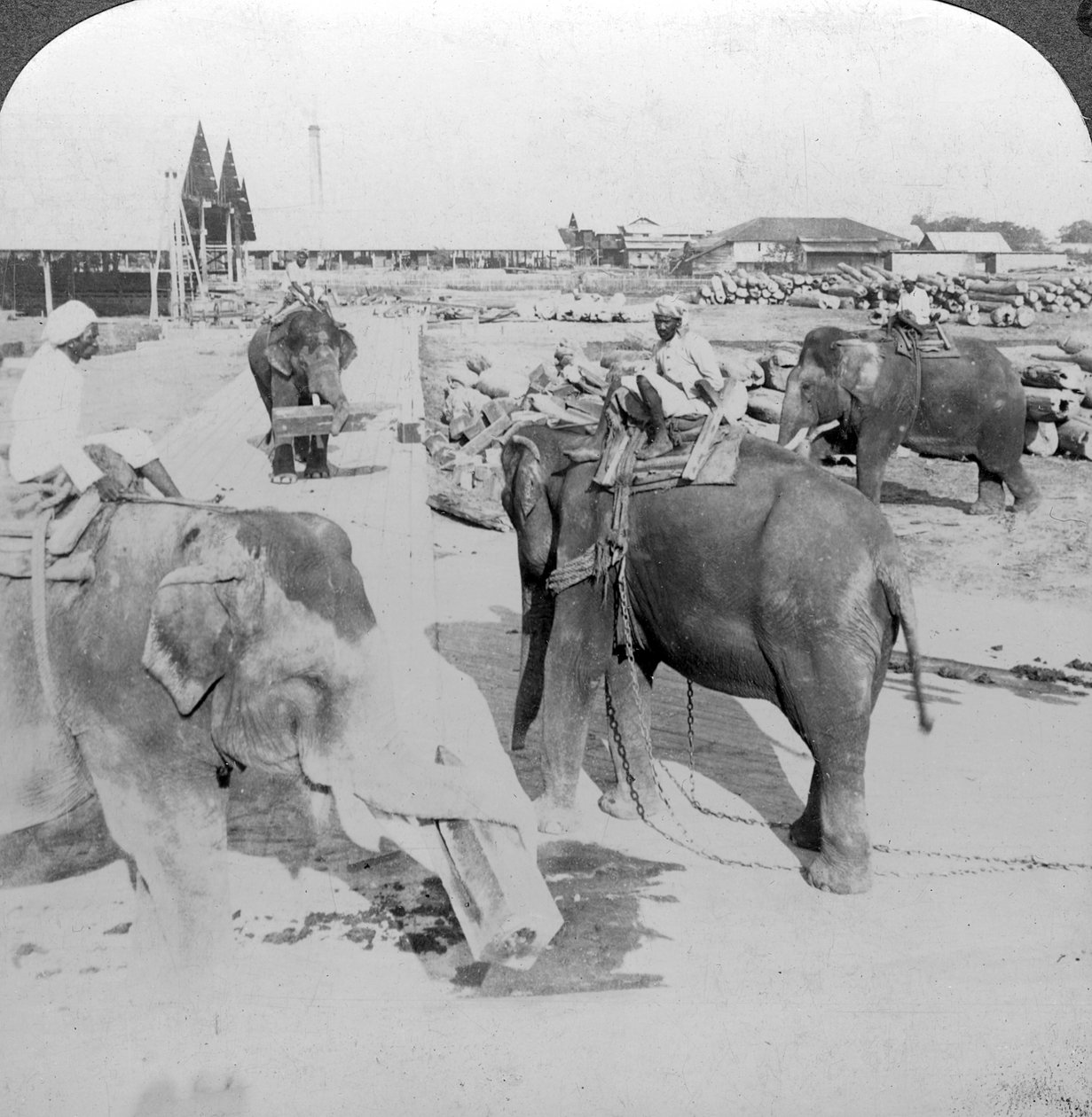 हाथी लकड़ी के यार्ड, भारत में काम करते हैं, c1900s। द्वारा अंडरवुड और अंडरवुड