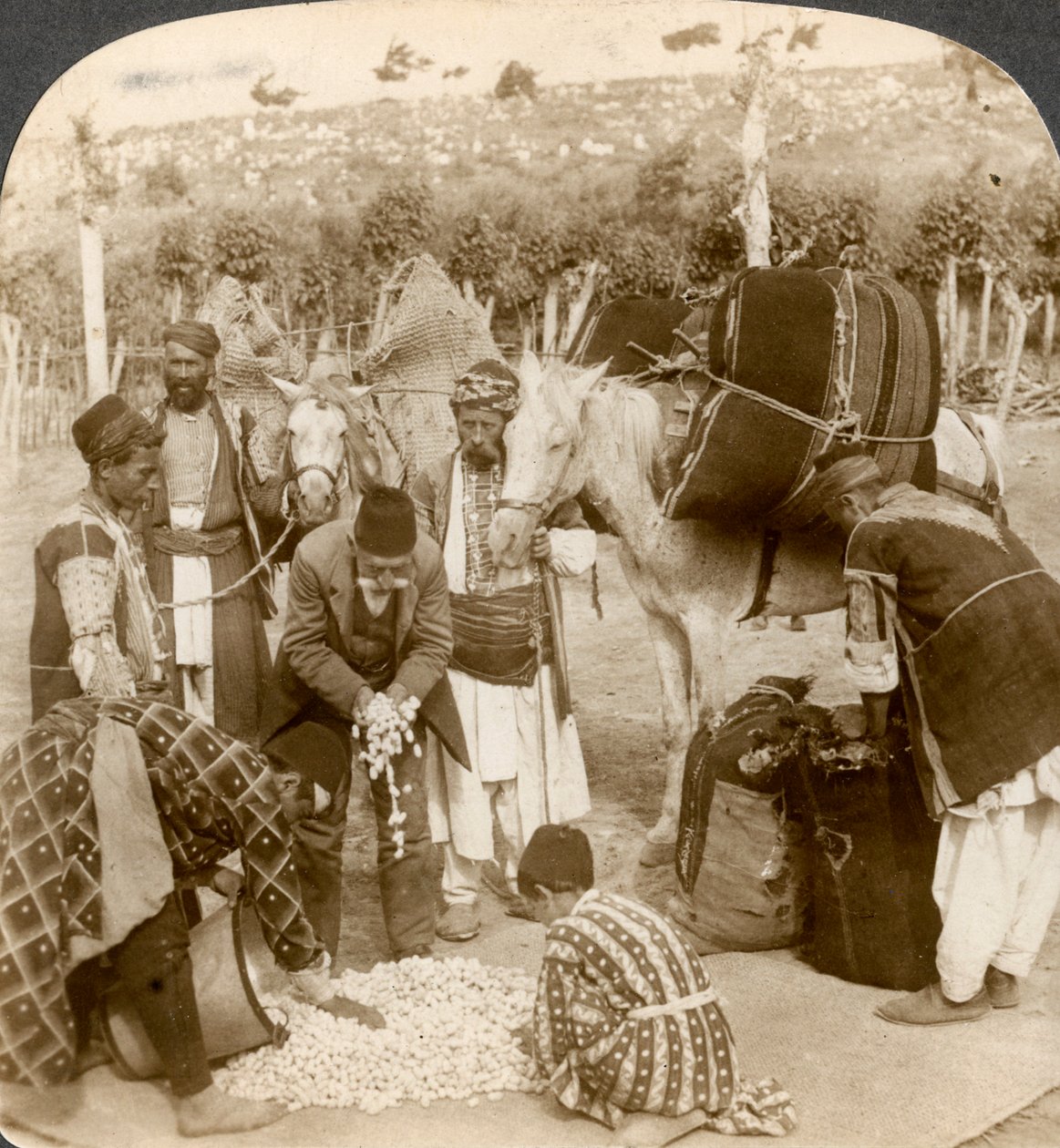 फ्रांस, एंटिओक, सीरिया, 1900 के दशक के निर्यात के लिए रेशम कोकून खरीदने वाले विशेषज्ञ। द्वारा अंडरवुड और अंडरवुड
