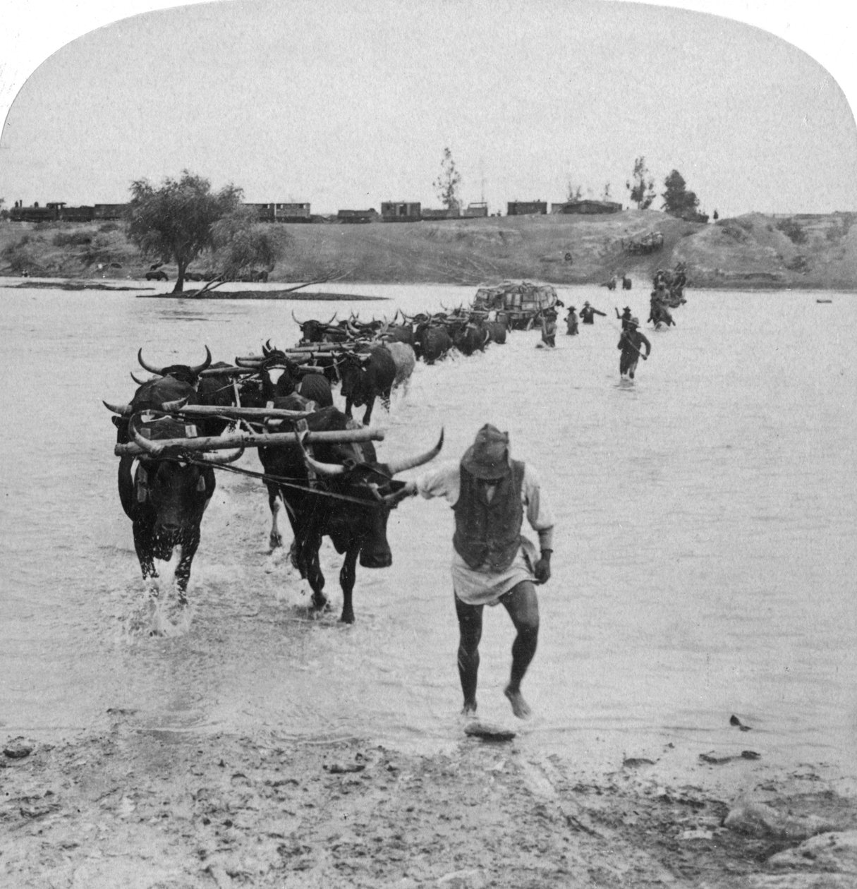 मोडर नदी, बोअर युद्ध, दक्षिण अफ्रीका, 15 फरवरी 1901 को फोर्जिंग। द्वारा अंडरवुड और अंडरवुड