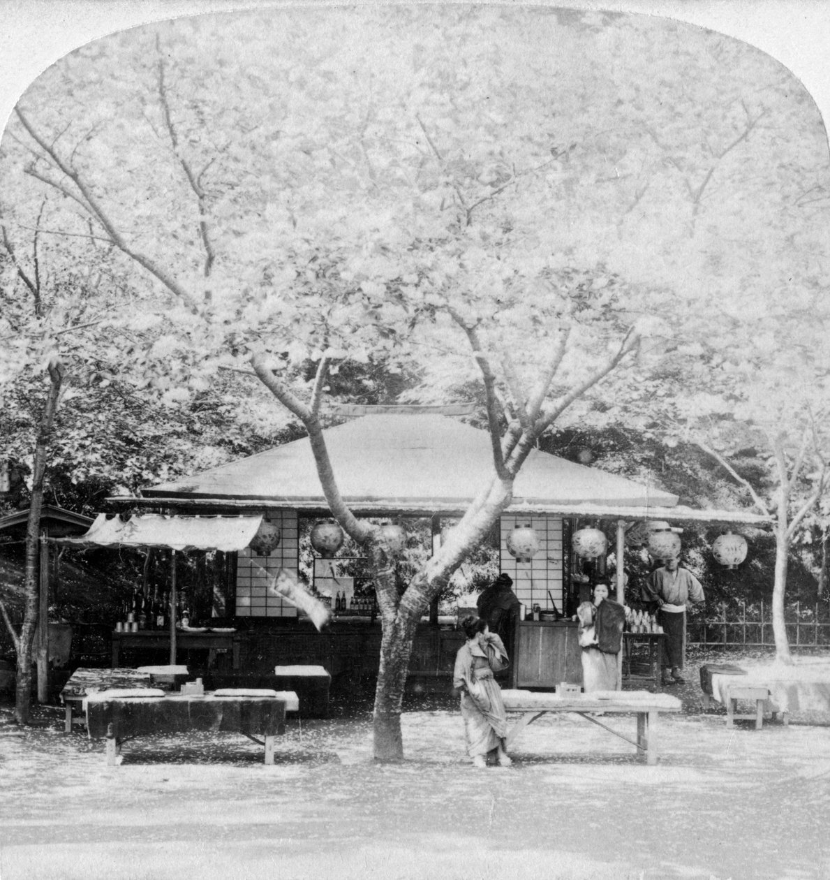 फूल राज्य के केंद्र में, नारा, जापान, 1896। द्वारा अंडरवुड और अंडरवुड