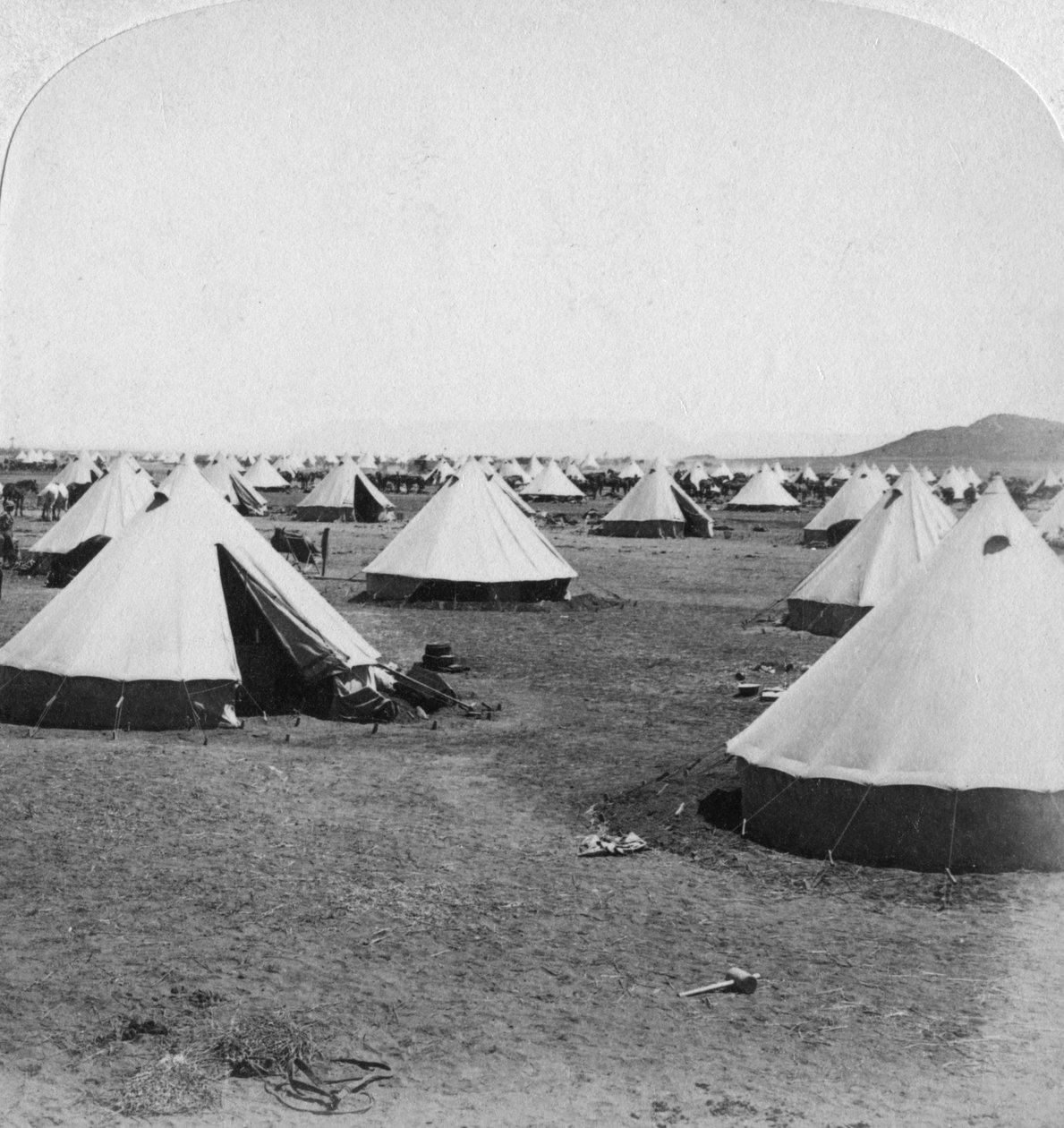डी आर, दक्षिण अफ्रीका, बोअर युद्ध, 1900 में सैन्य शिविर। द्वारा अंडरवुड और अंडरवुड