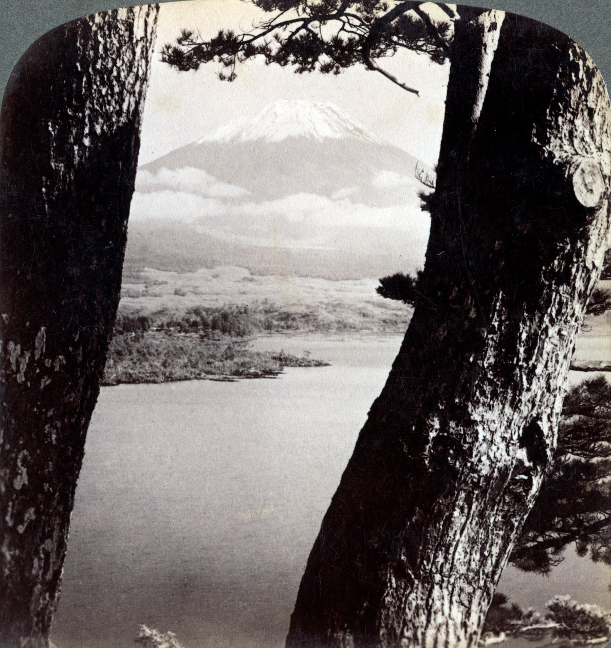 माउंट फ़ूजी, उत्तर-पश्चिम से देखा गया, झील मोटोसु, जापान, 1904 में पाइंस के माध्यम से द्वारा अंडरवुड और अंडरवुड